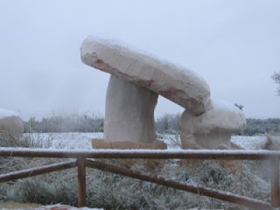 Proceso de escultura monumental en el Jardín Micológico "La Trufa"