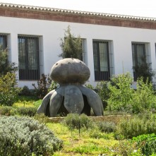 Escultura Myriostoma Coliforme «Seta Salero»