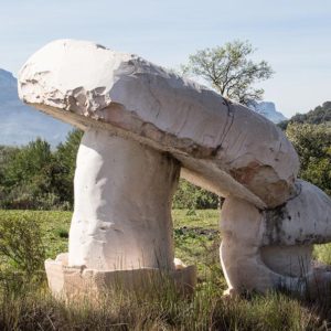 Escultura Monumental Jardín Micológico «La Trufa»