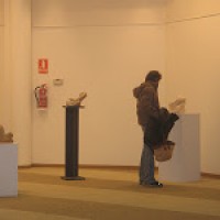 Expo Escultura «Pelícano en Ibiza» en Club Diario de Ibiza